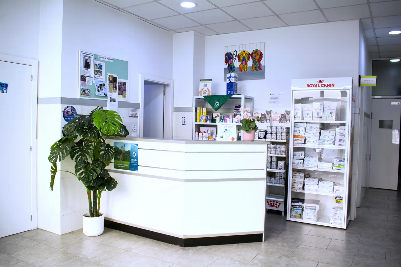 Recepción de Clínica Veterinaria Tendetes en Valencia.
